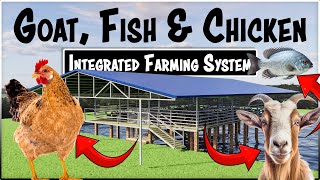 Integrated Goat, Chicken and Fish Farming | Modern Farm Design
