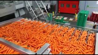 JASA VFFS Carrot Packing