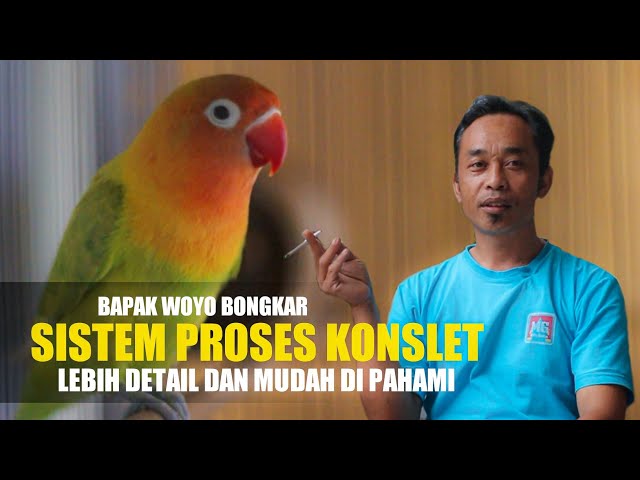 BONGKAR SISTEM PROSES KONSLET BAPAK WOYO BANJARNEGARA class=