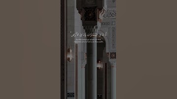 ﴿ أَلَمْ تَرَ أَنَّ اللَّهَ أَنزَلَ مِنَ السَّمَاءِ مَاءً ﴾ | ياسر الدوسري - سورة "الحج" ﴿٦٣-٦٤﴾
