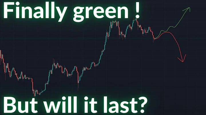 Crypto market recovers: But is it just a dead cat bounce?