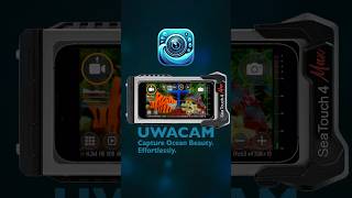 Are you an AUTO or PRO underwater image maker The new UWACAM app caters for both! #UWACAM #divevolk