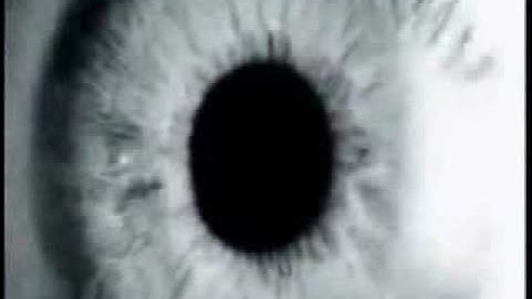 Colin McRae Rally 3 commercial