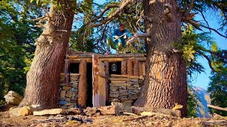 "I Survived 7 Days Alone Building a Winter Stone Shelter B/T Two Towering Trees,, Hunting 