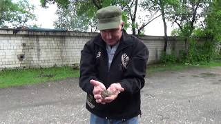 Птенец воробья, желторотик... Птенец воробья, желторотик...