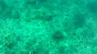 20150101 004307A