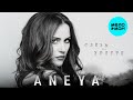 ANEYA - Слёзы на холсте (Single 2025)