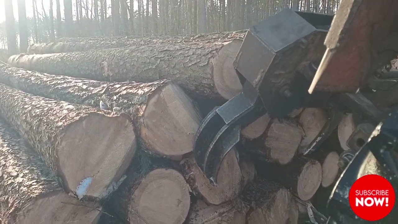 Знову з нуля|День 3#ліс #роботавлісі #щоденникроботи #щоденник 