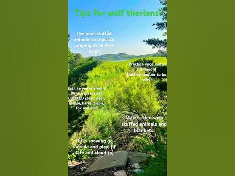 Tips for wolf therians! - YouTube