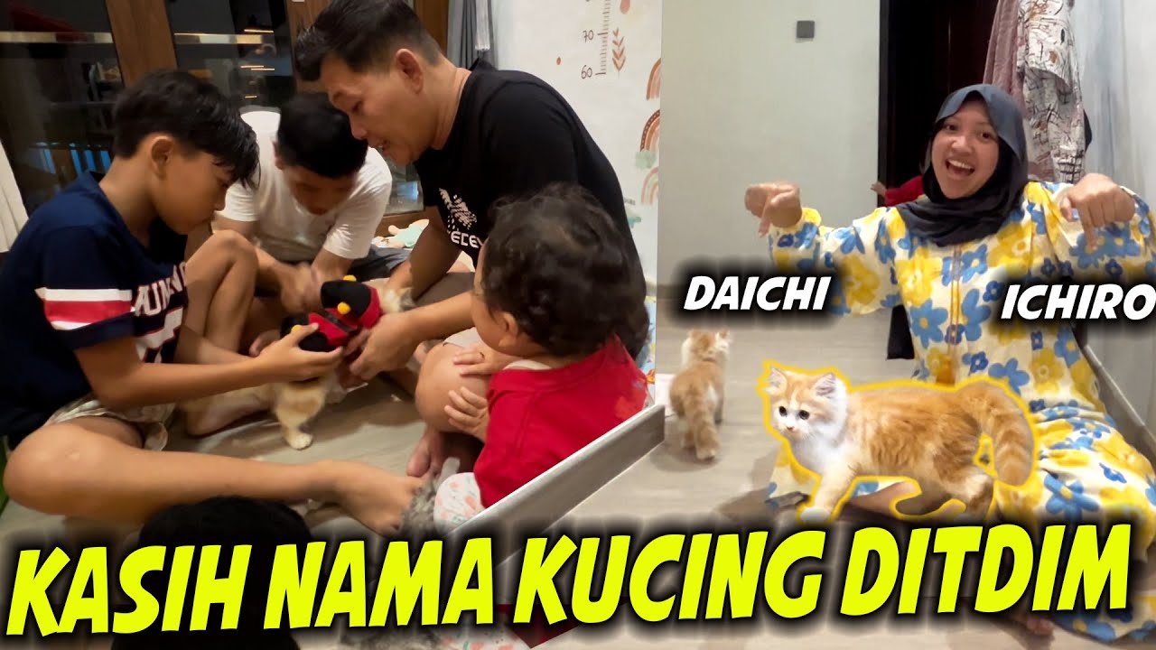 NAMA KUCING DIMAS.. BUNDA TERNYATA SAMPAI SEKARANG MASIH TAKUT KUCING