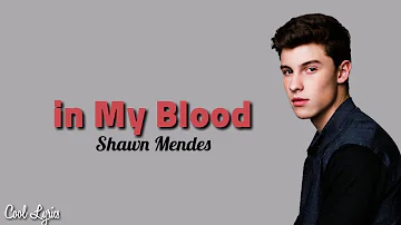 Shawn Mendes - In My Blood (Lyric video)