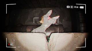 I played the SCARIEST Dinosaur Horror (Full Game)