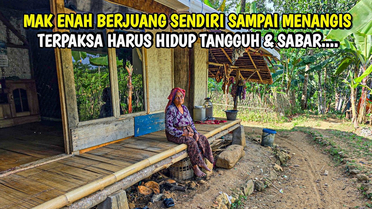 NENEK TANGGUH 🥺 HIDUP SEORANG DIRI TANPA SUAMI DI KAMPUNG TERPENCIL