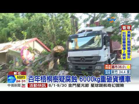 百年梧桐樹疑腐蝕 6000kg重砸貨櫃車│中視新聞 20220729