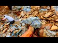 Large quartz vein found in the ditch on a new logging road