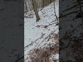 Thomas sledding into mud