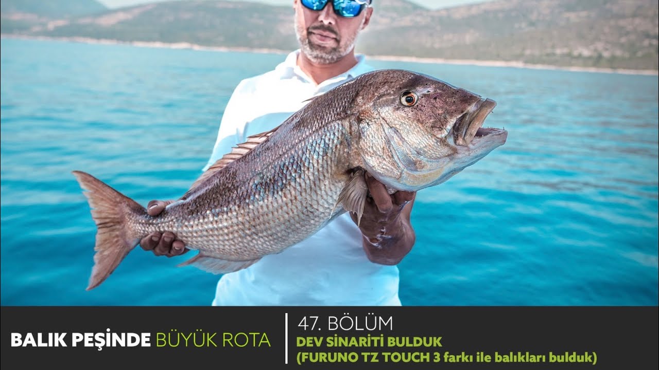 DEV SİNARİTİ BULDUK ( Furuno Tz Touch 3 ile balıkları bulduk)