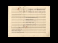 Markus Stenz - Beethoven Symphonie Nr. 9 in d-moll op. 125