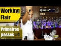 Working Flair - Primeiros Passos #1