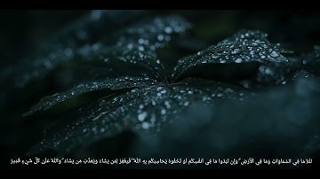 خواتيم سورة البقرة  المباركه بصوت القارئ صالح الانصاري