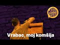 Vrabac, moj komšija