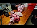 22 tradition bon cochon de 300 kgs rencontre avec franck heritage et tradition cochon pig food