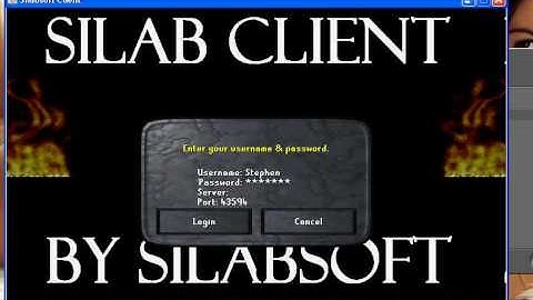 How to log on to a Hamachi Server