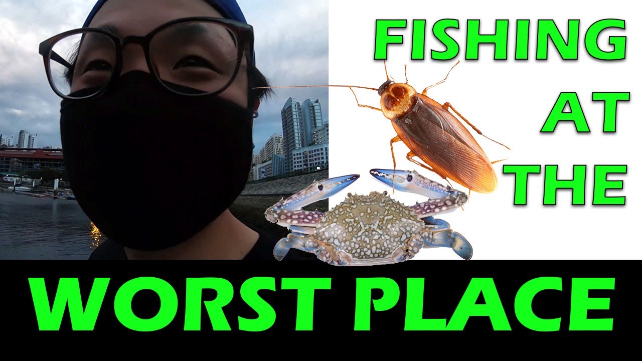 FISHING IN SINGAPORE(WORST PLACE EVER?) Punggol Area YouTube