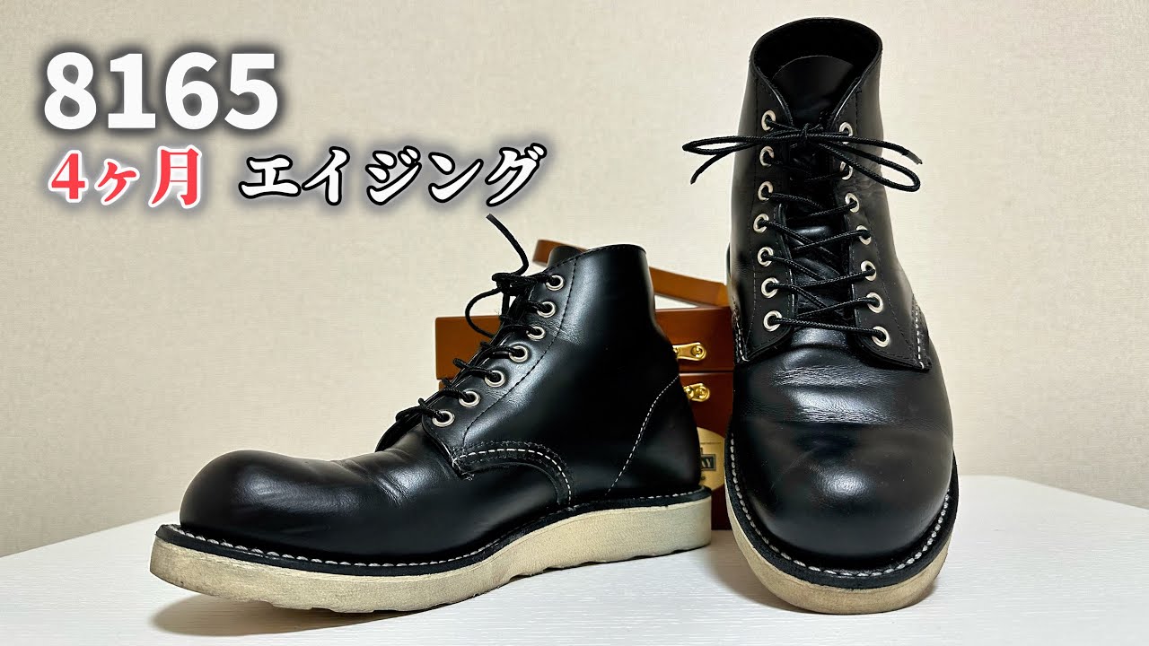 ルーク　未使用 Black Redwing] The joy of raising 8165 | 4 months later - YouTube