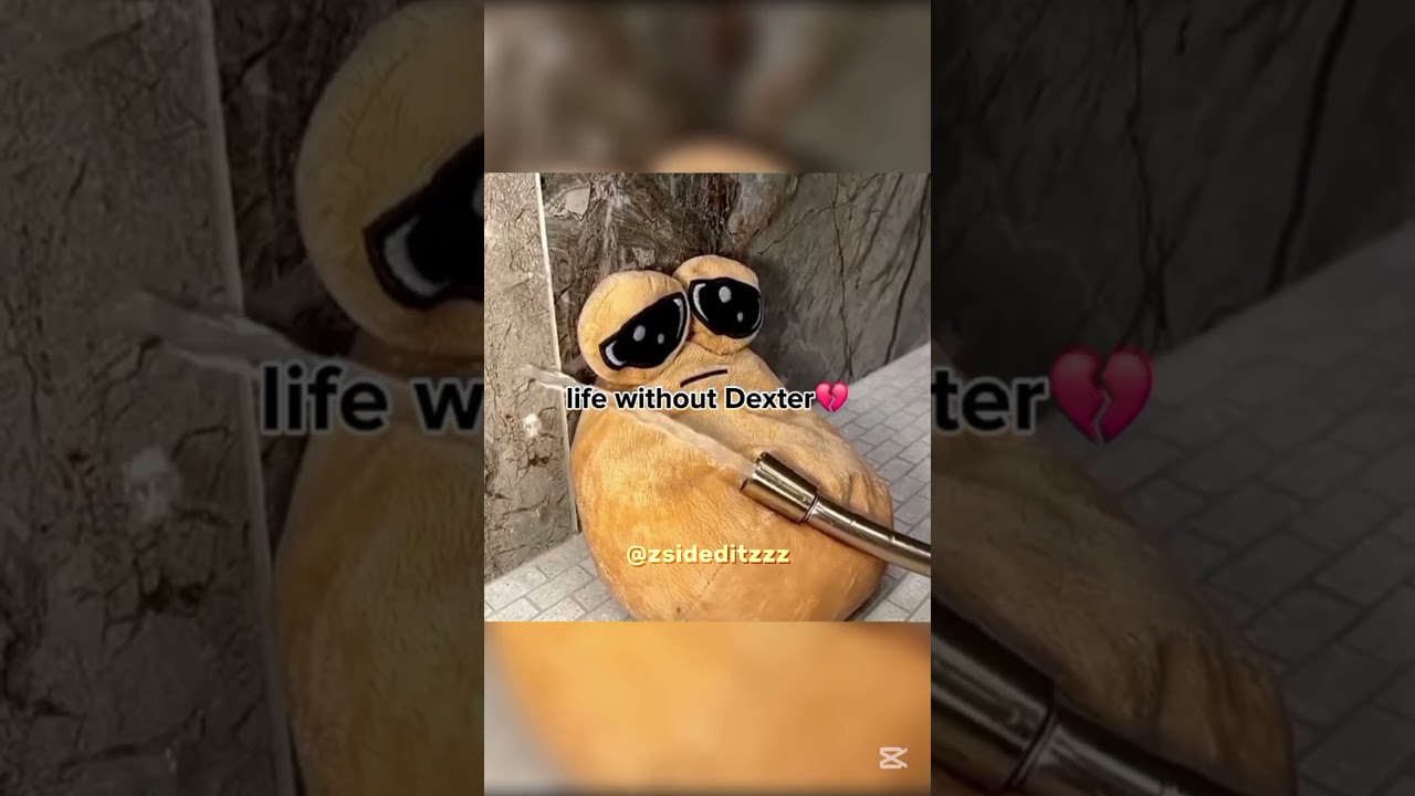 life without Dexter😞💔 