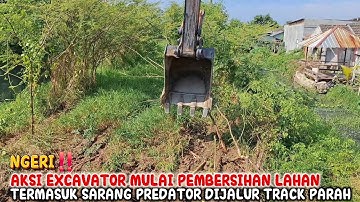 NGERI‼️AKSI EXCAVATOR MULAI PEMBERSIHAN LAHAN KEBON TERMASUK SARANG PREDATOR DIJALUR TRACK PARAH
