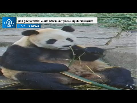 Video: Sichuan Eyaleti Ziyaretçi Rehberi