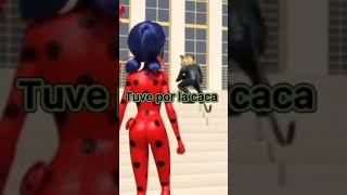 Soy Yo O Cat Noir Dice Ve A Por La Caca Siento La Inactividad Estoy Preparando Un Vídeo Leerdesc