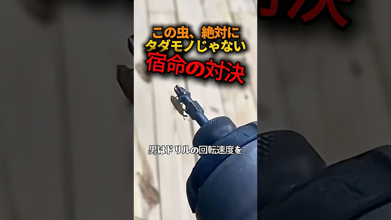 回転数MAX、その時虫は…
