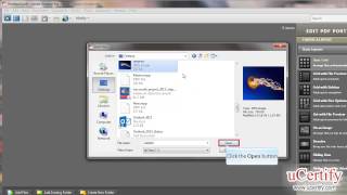 adobe acrobat 9 professional how to create pdf portfolio demo