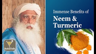 The Power of Neem and Turmeric