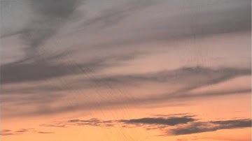 Tree Swallow Roost - Filmmaker Reinier Munguia