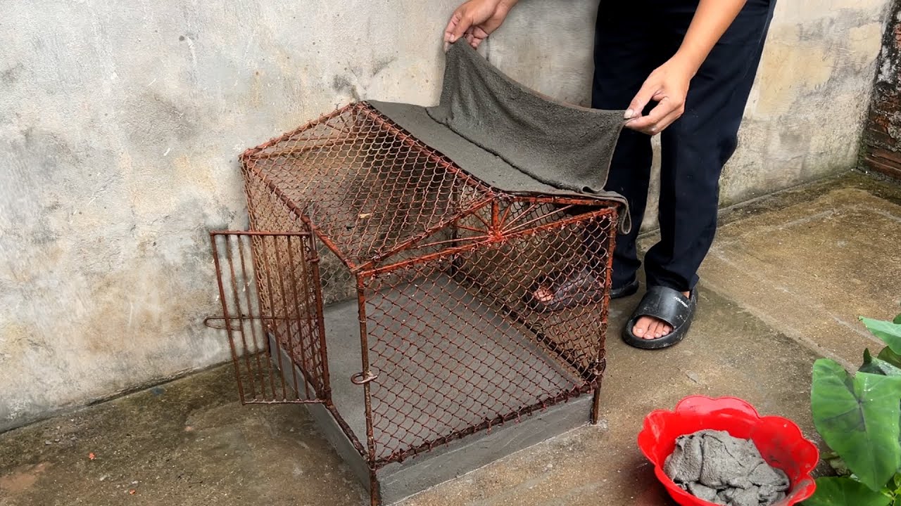 Not everyone knows this secret!.Pour Cement onto Towels – A Clever Way to Renovate a Dog Kennel