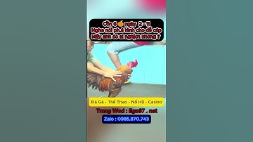 AE có nghịch ko #reels #thinhhanh #capcut #giaitri #tintuc #trending #viral #xuhuongyoutube #vuive