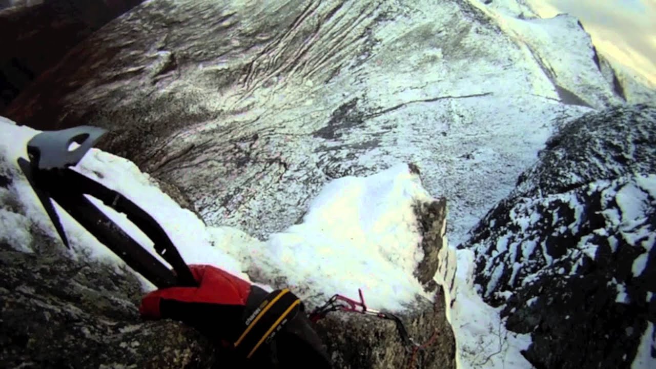 Liadalsnipa med Glenn