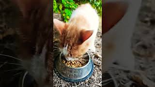 Good Evening Beautiful