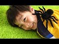 spider creeping up pretend play ????????!? ???????? ???? ?????????