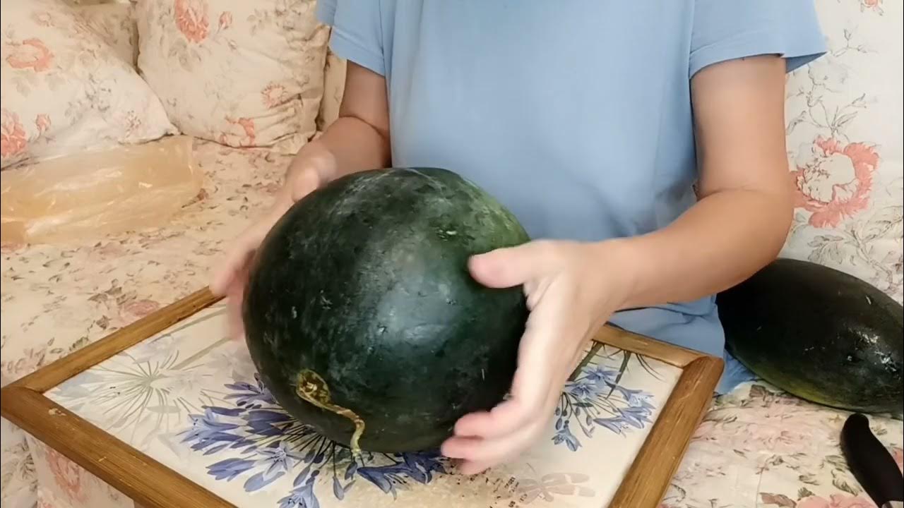 Яйцо Дракона 🤣 #эллапанкратова #арбуз - YouTube