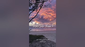 من الآية ١٧ إلى الآية ١٩ من سورة النمل بصوت القارئ عمر بن ضياء الدين