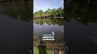 Pria ini Pergi Memancing di Sungai tapi... 😮 #shorts (@senkonicko)