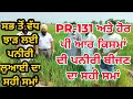 Pr131pr126           best sowing time for paddy nursery