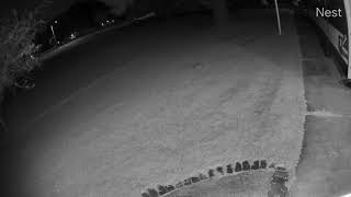 Side Yard camera  2024 08 15 22 40 13