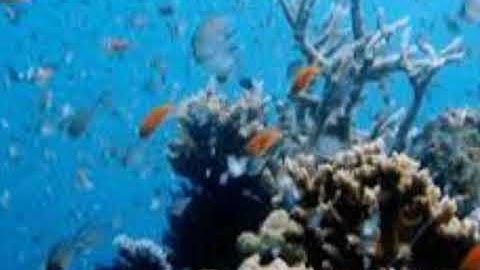 تلاوة خاشعة لسورة الجن روعة