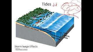 GEOL 1040 Lecture 19c Tides and Storm Surge