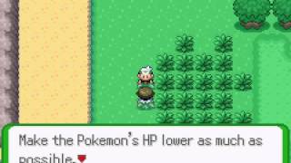 Pokemon Flora Sky - Pokemon Flora Sky (GBA / Game Boy Advance) - User video